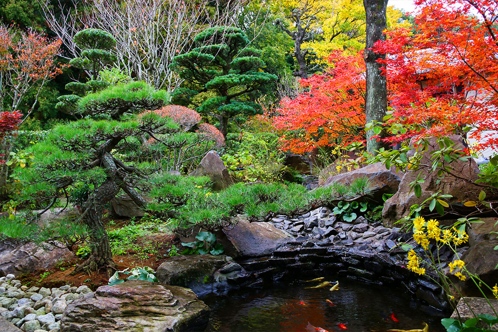 花樹園