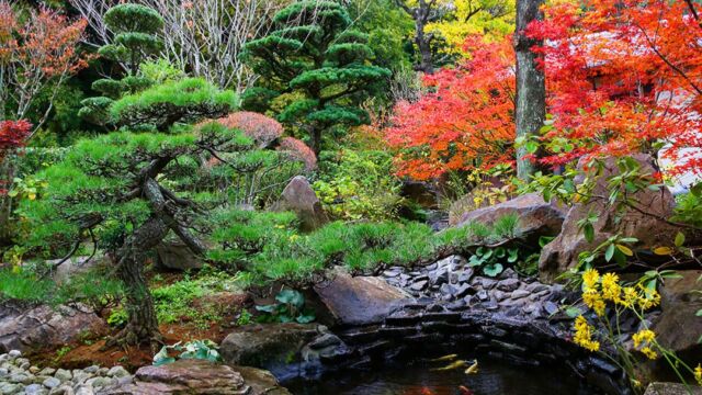 日本の造園樹木 日本庭園・造園工事 | 市原市で造園・外構・エクステリア・植木のこと
